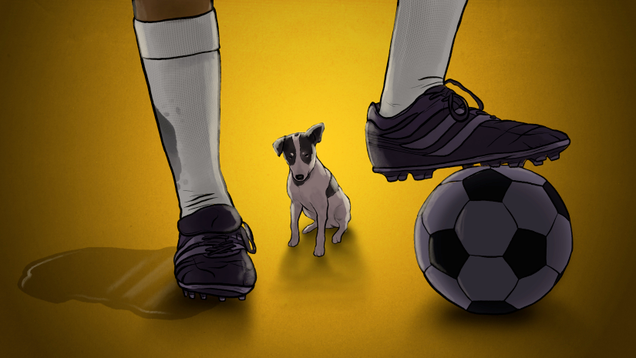 Illustration for article titled Soccer Superstitions Are Like National Anthems: Every Country's Got One